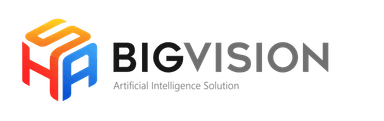 Big Vision Team Logo