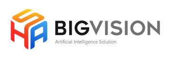 Big Vision team logos